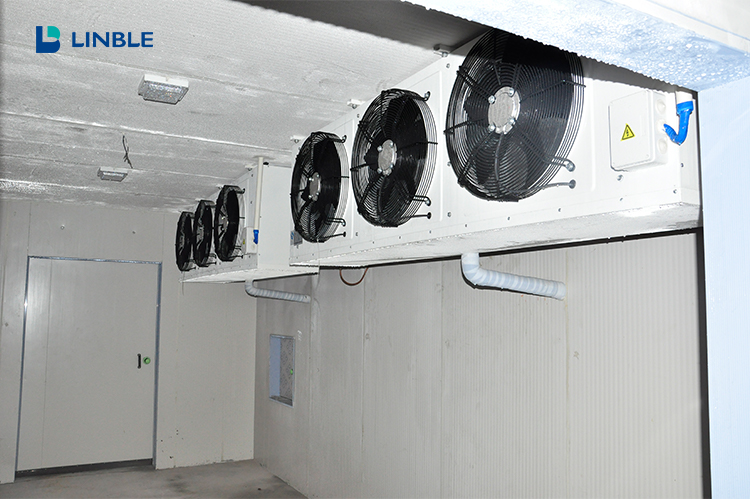 Three Common Faults in Cold Room Operation